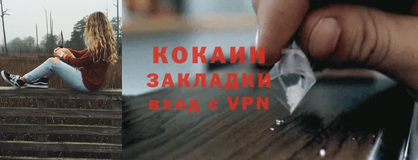 spice Новозыбков