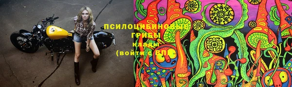 мдпв Новодвинск