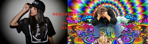 стафф Нягань