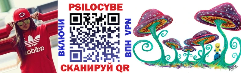 Купить где Серафимович Псилоцибиновые грибы Psilocybine cubensis