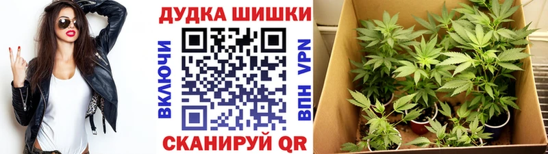 Шишки марихуана семена  Купить  Серафимович 